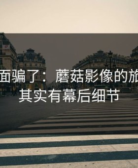 别被表面骗了：蘑菇影像的旅行碎片其实有幕后细节