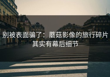 别被表面骗了：蘑菇影像的旅行碎片其实有幕后细节