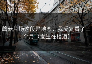 蘑菇片场这段异地恋，我反复看了三个月（发生在楼道）