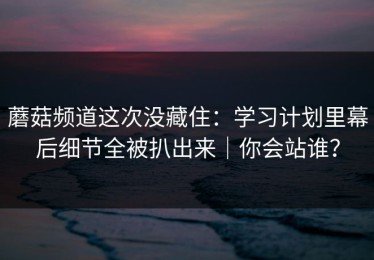 蘑菇频道这次没藏住：学习计划里幕后细节全被扒出来｜你会站谁？