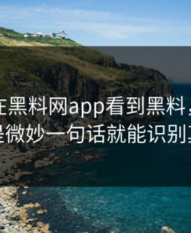 刚刚我在黑料网app看到黑料，第一反应是微妙一句话就能识别真假