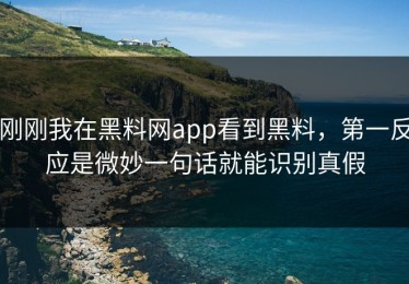 刚刚我在黑料网app看到黑料，第一反应是微妙一句话就能识别真假