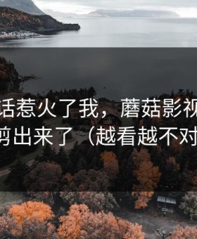 我一句话惹火了我，蘑菇影视把全过程剪出来了（越看越不对劲）