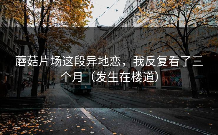 蘑菇片场这段异地恋，我反复看了三个月（发生在楼道）